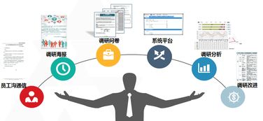 中智管理咨詢 以市場調查服務驅動商業決策與創新